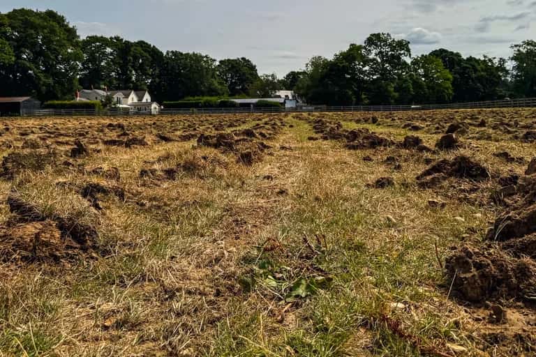 Sub soiled field