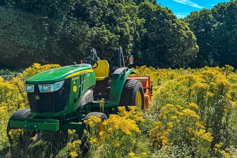 Flail collecting ragwort